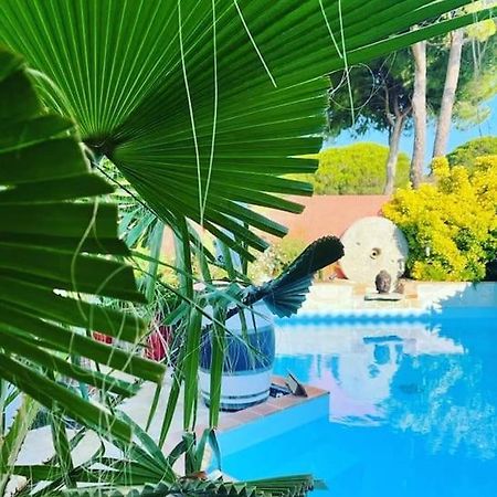 Hebergement Insolite Studio Grau Du Roi Mas Des Marines Piscine Le Grau-du-Roi Kültér fotó