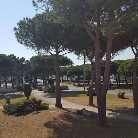 Hebergement Insolite Studio Grau Du Roi Mas Des Marines Piscine Le Grau-du-Roi Kültér fotó