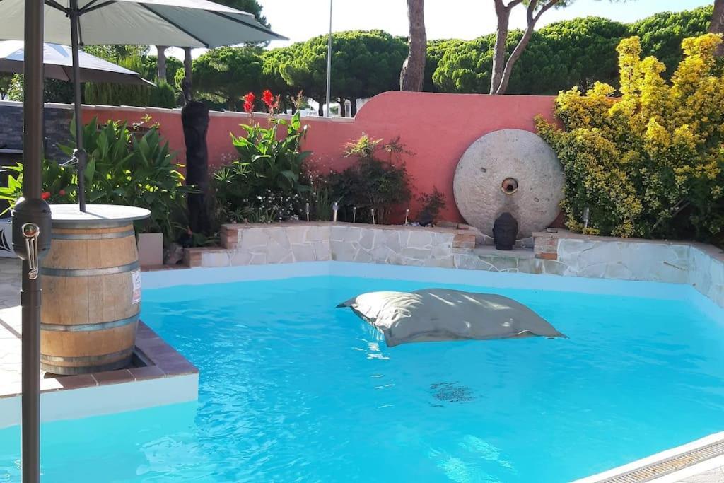 Hebergement Insolite Studio Grau Du Roi Mas Des Marines Piscine Le Grau-du-Roi Kültér fotó